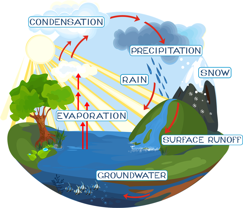 Impurità nell'acqua