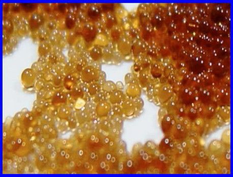 Resine a scambio ionico